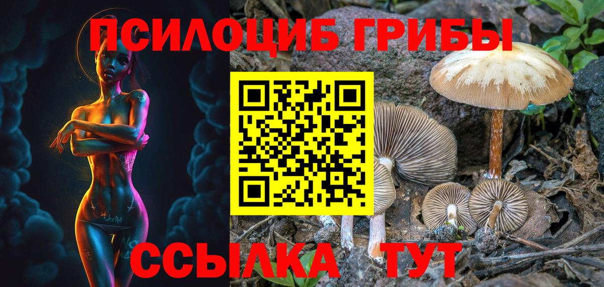 Псилоцибиновые грибы Psilocybe  Вход с VPN  Сызрань  хочу   Псилоцибиновые грибы Cubensis 